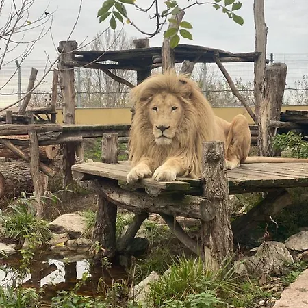 Гостевой дом Malkia