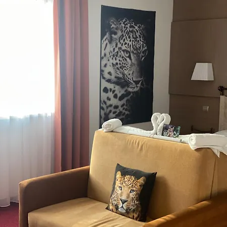 Guest house Malkia 3*