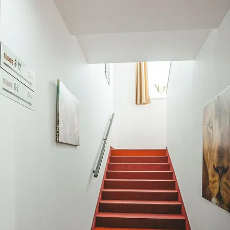 Malkia Guest house *