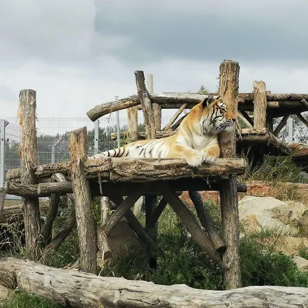 Malkia Гостевой дом 3*